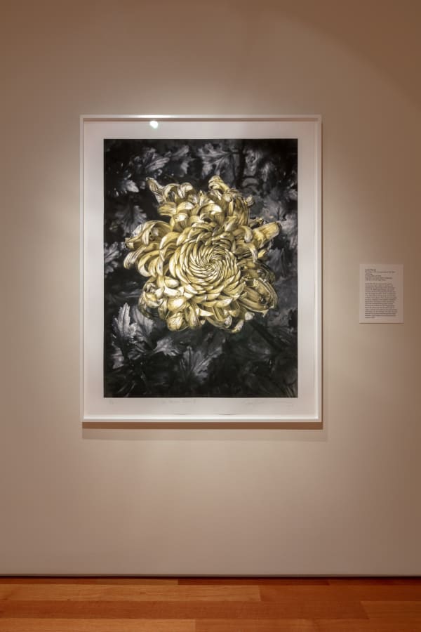 Jennifer Wen Ma, In Furious Bloom III, 2016, Inkjet print on Canson edition etching paper